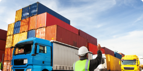 bicanvas ERP for supply chain management