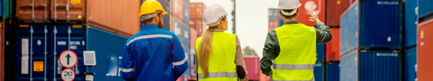 Effortless SCM & Logistics Management With biCanvas