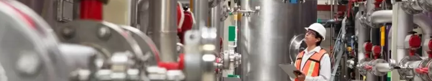 Scale Your Manufacturing Plant With biCanvas