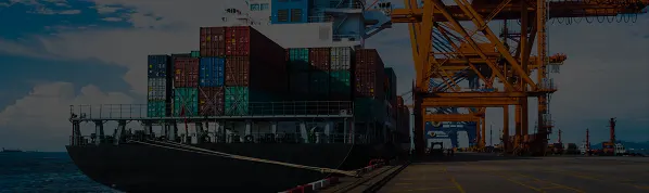 Effortless SCM & Logistics Management With biCanvas